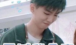 娱乐圈爆料王俊凯事件,娱乐圈爆料王俊凯事件真相揭秘