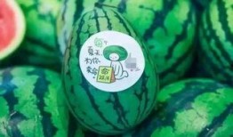 新瓜最新爆料网红是谁,这位网红成最新热议焦点！